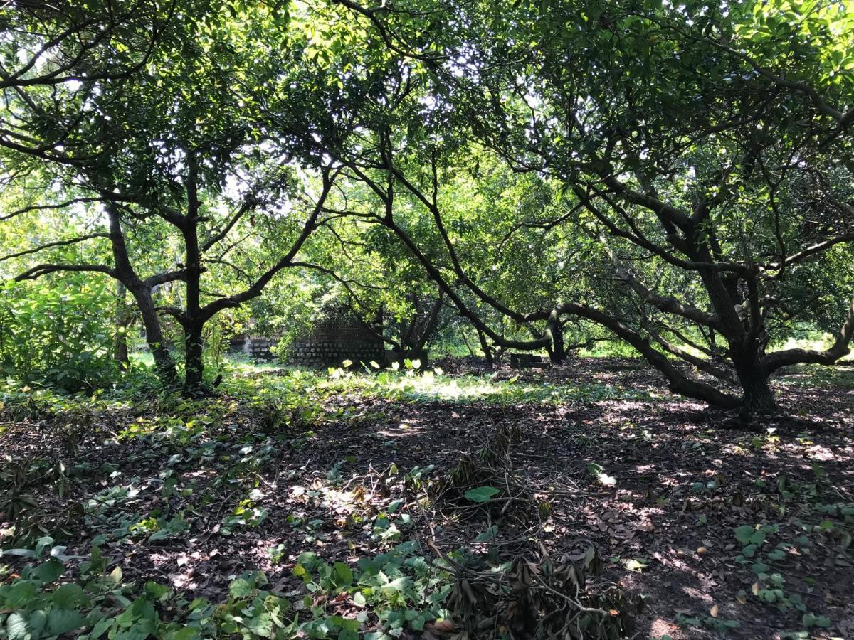Zohra Baugh, A Green & Organic Farmhouse Stay With All Amenities Dahanu Εξωτερικό φωτογραφία